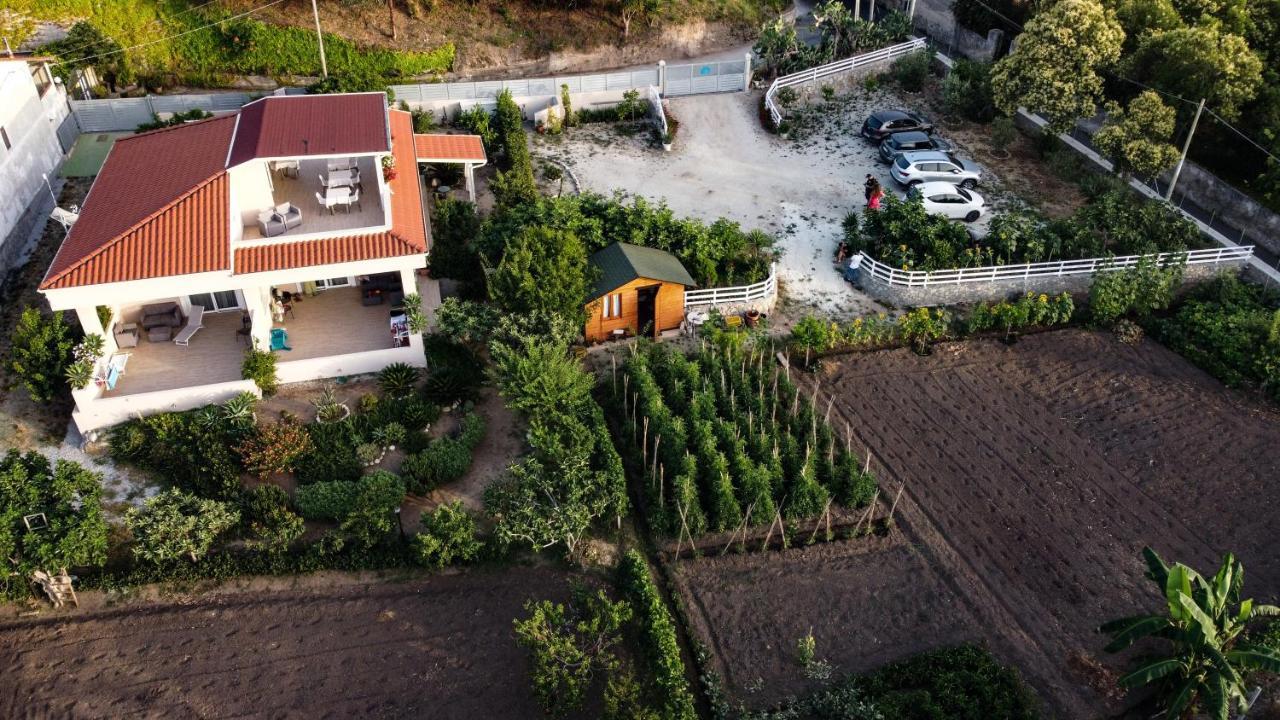 Michelino House Bed & Breakfast Parghelia Bagian luar foto