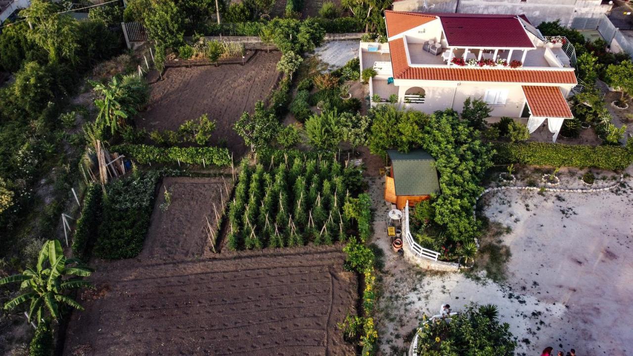 Michelino House Bed & Breakfast Parghelia Bagian luar foto