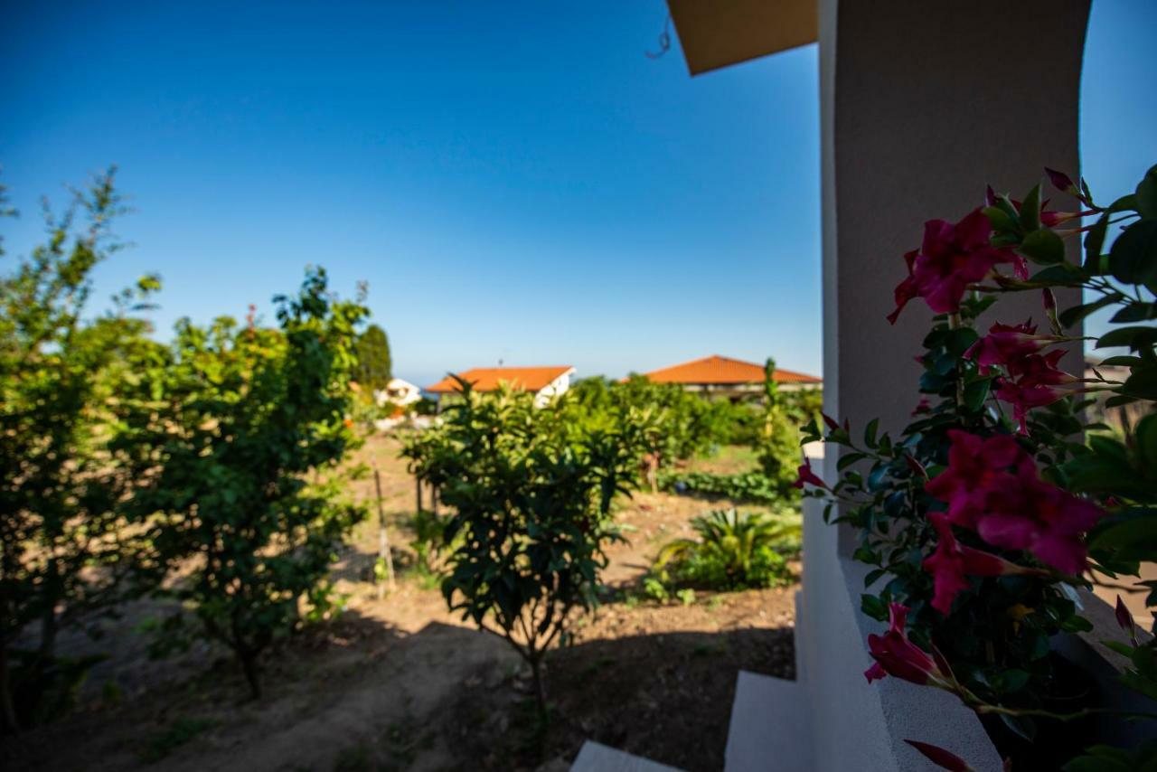Michelino House Bed & Breakfast Parghelia Bagian luar foto